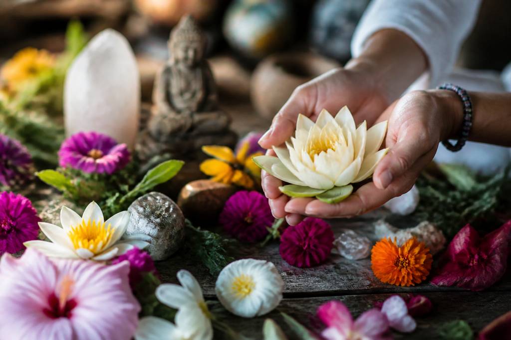 Fleur signification spirituelle : comprendre les symboles et messages des fleurs